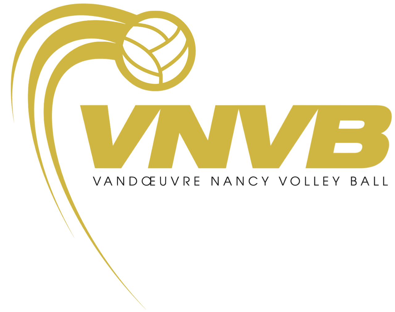 VNVB